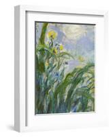 The Yellow Iris (Detail)-Claude Monet-Framed Giclee Print