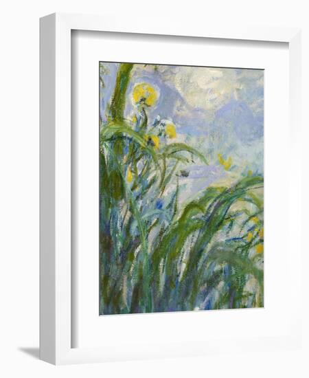 The Yellow Iris (Detail)-Claude Monet-Framed Giclee Print