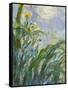 The Yellow Iris (Detail)-Claude Monet-Framed Stretched Canvas