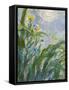 The Yellow Iris (Detail)-Claude Monet-Framed Stretched Canvas