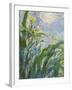 The Yellow Iris (Detail)-Claude Monet-Framed Giclee Print