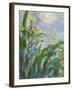 The Yellow Iris (Detail)-Claude Monet-Framed Giclee Print