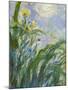 The Yellow Iris (Detail)-Claude Monet-Mounted Giclee Print