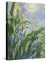 The Yellow Iris (Detail)-Claude Monet-Stretched Canvas