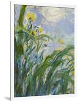 The Yellow Iris (Detail)-Claude Monet-Framed Giclee Print