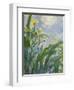 The Yellow Iris (Detail)-Claude Monet-Framed Premium Giclee Print