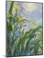 The Yellow Iris (Detail)-Claude Monet-Mounted Premium Giclee Print