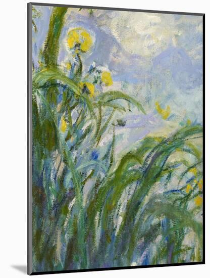 The Yellow Iris (Detail)-Claude Monet-Mounted Premium Giclee Print