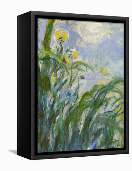 The Yellow Iris (Detail)-Claude Monet-Framed Stretched Canvas