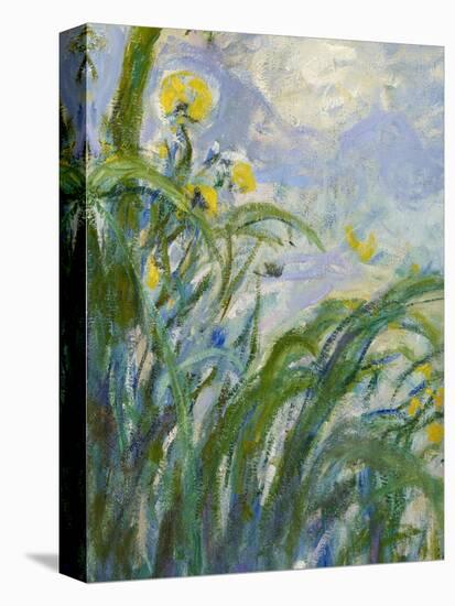 The Yellow Iris (Detail)-Claude Monet-Stretched Canvas