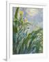 The Yellow Iris (Detail)-Claude Monet-Framed Giclee Print