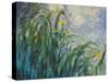 The Yellow Iris-Claude Monet-Stretched Canvas