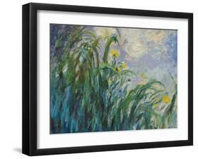 The Yellow Iris-Claude Monet-Framed Giclee Print