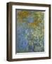 The Yellow Iris-Claude Monet-Framed Giclee Print