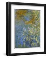 The Yellow Iris-Claude Monet-Framed Giclee Print