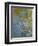 The Yellow Iris-Claude Monet-Framed Giclee Print