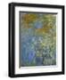 The Yellow Iris-Claude Monet-Framed Giclee Print