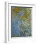 The Yellow Iris-Claude Monet-Framed Giclee Print