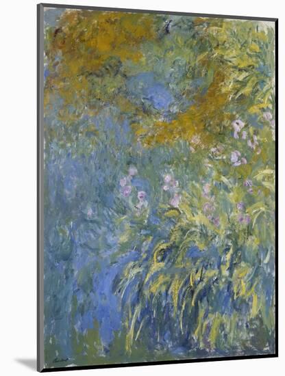 The Yellow Iris-Claude Monet-Mounted Giclee Print