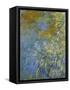 The Yellow Iris-Claude Monet-Framed Stretched Canvas