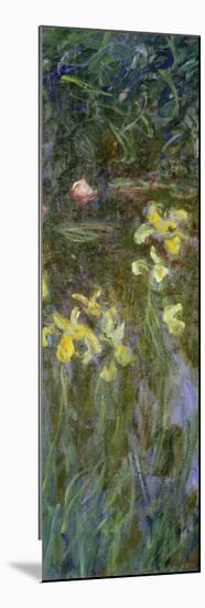 The Yellow Irises, 1914-17-Claude Monet-Mounted Giclee Print