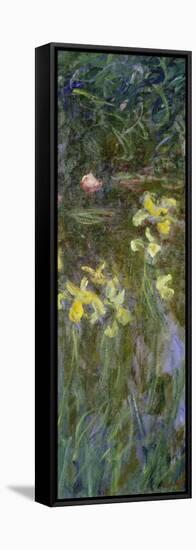 The Yellow Irises, 1914-17-Claude Monet-Framed Stretched Canvas