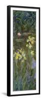 The Yellow Irises, 1914-17-Claude Monet-Framed Premium Giclee Print