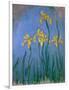 The Yellow Irises, 1918-25-Claude Monet-Framed Giclee Print