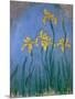 The Yellow Irises, 1918-25-Claude Monet-Mounted Giclee Print