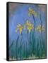 The Yellow Irises, 1918-25-Claude Monet-Framed Stretched Canvas