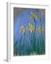 The Yellow Irises, 1918-25-Claude Monet-Framed Giclee Print