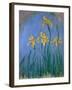 The Yellow Irises, 1918-25-Claude Monet-Framed Giclee Print