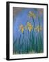 The Yellow Irises, 1918-25-Claude Monet-Framed Giclee Print