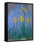 The Yellow Irises, 1918-25-Claude Monet-Framed Stretched Canvas