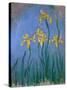 The Yellow Irises, 1918-25-Claude Monet-Stretched Canvas