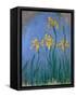 The Yellow Irises, 1918-25-Claude Monet-Framed Stretched Canvas