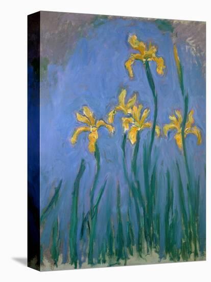 The Yellow Irises, 1918-25-Claude Monet-Stretched Canvas