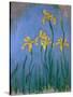 The Yellow Irises, 1918-25-Claude Monet-Stretched Canvas