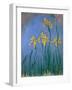 The Yellow Irises, 1918-25-Claude Monet-Framed Giclee Print