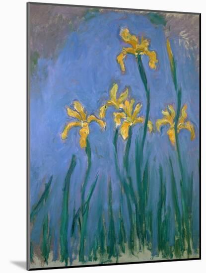 The Yellow Irises, 1918-25-Claude Monet-Mounted Giclee Print