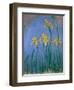 The Yellow Irises, 1918-25-Claude Monet-Framed Giclee Print