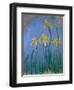 The Yellow Irises, 1918-25-Claude Monet-Framed Giclee Print