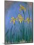 The Yellow Irises, 1918-25-Claude Monet-Mounted Giclee Print