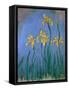 The Yellow Irises, 1918-25-Claude Monet-Framed Stretched Canvas