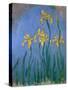 The Yellow Irises, 1918-25-Claude Monet-Stretched Canvas