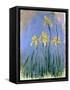 The Yellow Irises, C.1918-25-Claude Monet-Framed Stretched Canvas