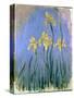The Yellow Irises, C.1918-25-Claude Monet-Stretched Canvas