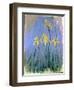 The Yellow Irises, C.1918-25-Claude Monet-Framed Giclee Print