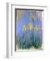 The Yellow Irises, C.1918-25-Claude Monet-Framed Giclee Print