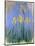 The Yellow Irises, C.1918-25-Claude Monet-Mounted Giclee Print